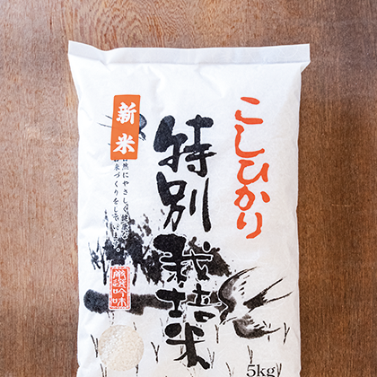 特別栽培コシヒカリ