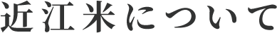近江米について