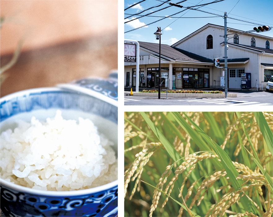 とらわかのお米画像